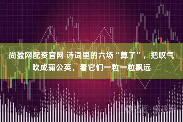 尚盈网配资官网 诗词里的六场“算了”，把叹气吹成蒲公英，看它们一粒一粒飘远