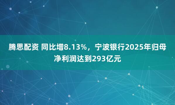 腾思配资 同比增8.13%，宁波银行2025年归母净利润达到293亿元