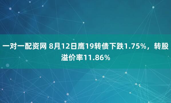 一对一配资网 8月12日鹰19转债下跌1.75%,转股溢价率11.86%